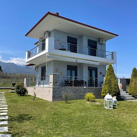 Plaka Luxury Villa Litóhoro Kültér fotó