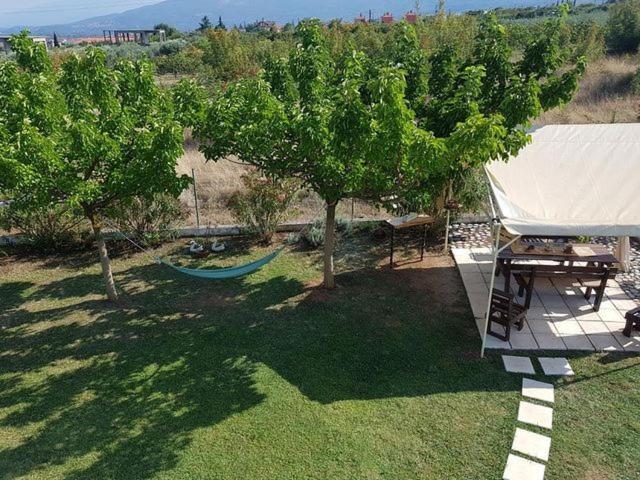 Plaka Luxury Villa Litóhoro Kültér fotó