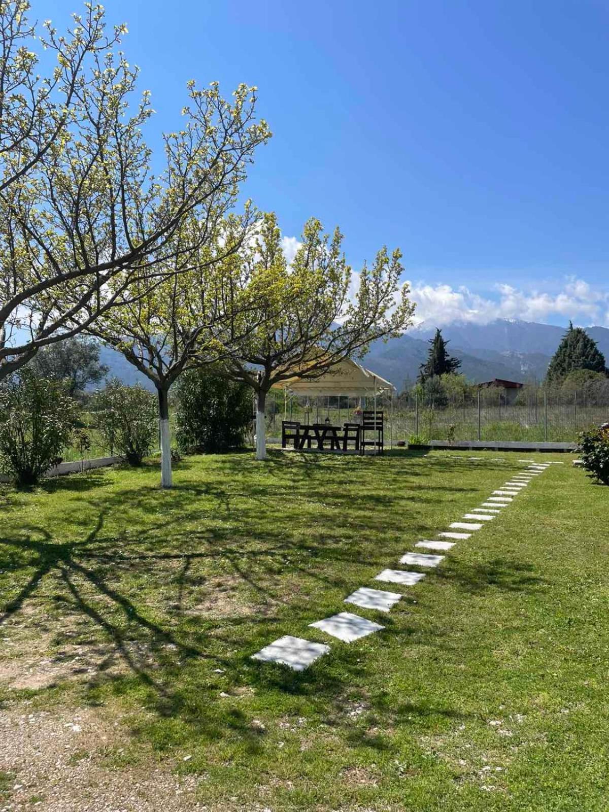 Plaka Luxury Villa Litóhoro Kültér fotó